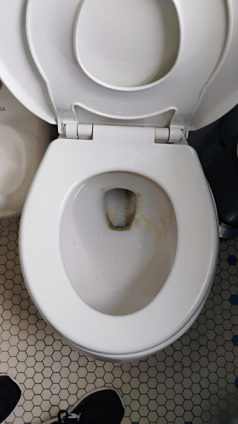 Stained toilet bowl before cleaning